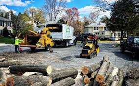 Best Lot and Land Clearing  in Dillsburg, PA