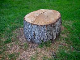 Best Stump Grinding and Removal  in Dillsburg, PA