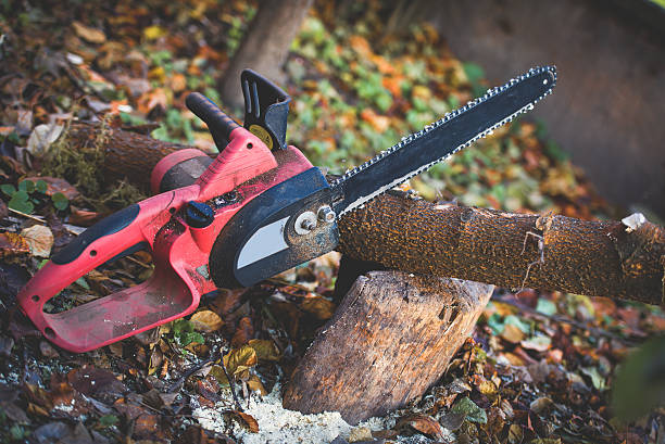 Best Tree Mulching  in Dillsburg, PA